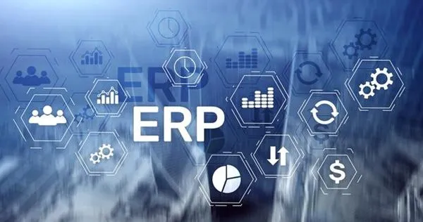 مصنع أغشية التغليف المرنة - إنتاج تخطيط موارد المؤسسات ERP