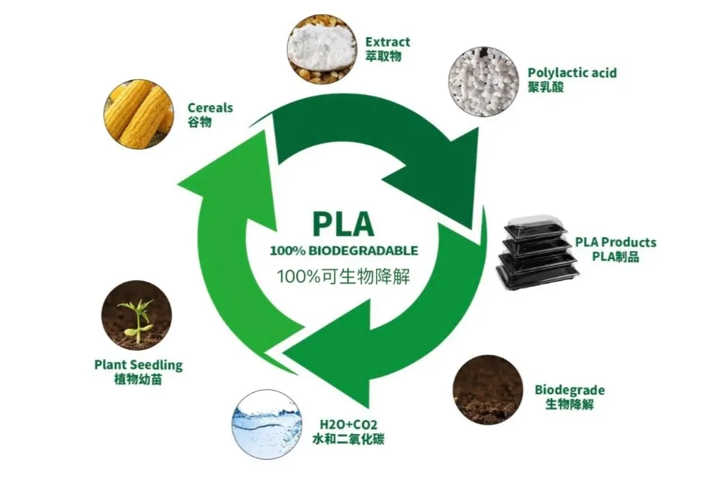 Is PLA 100% biodegradable?